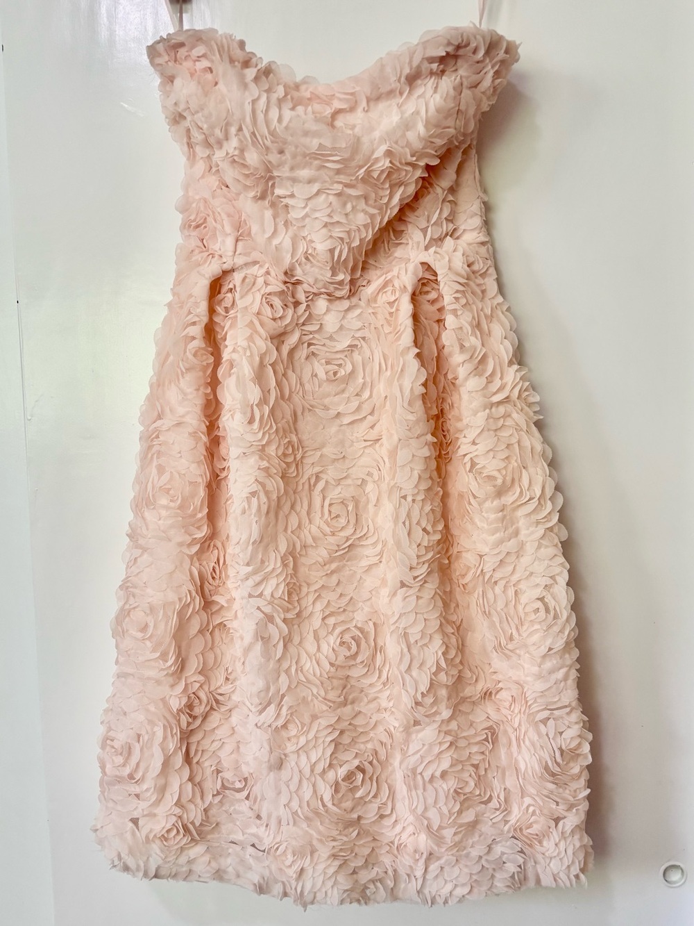 Zara| Luxurious Blush Cream Rosette Strapless Feminine Mini Party Dress Sz s